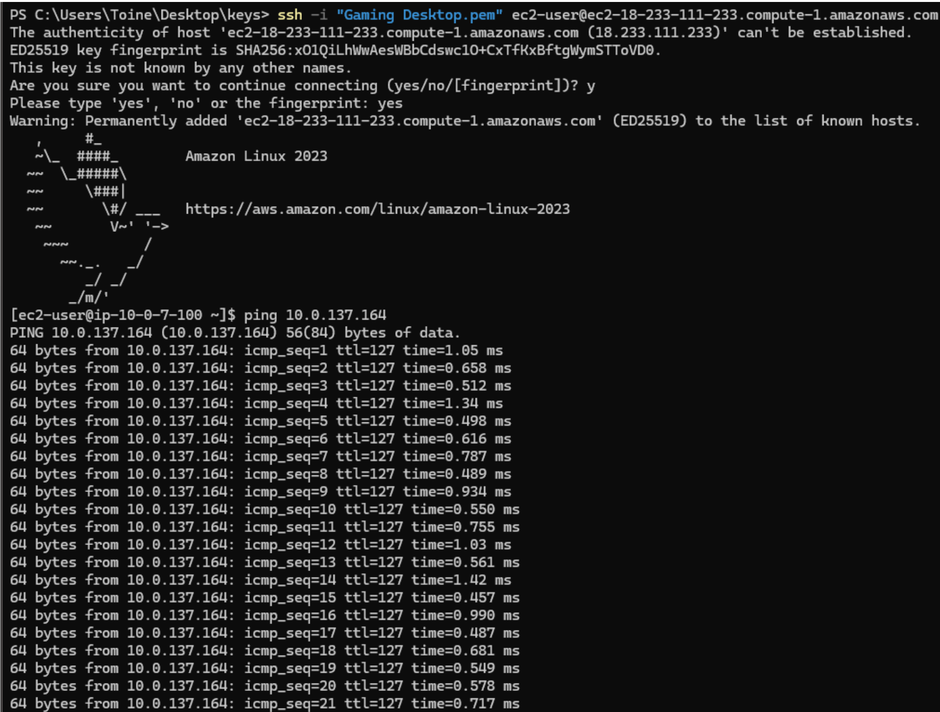 EC2 SSH ping verification