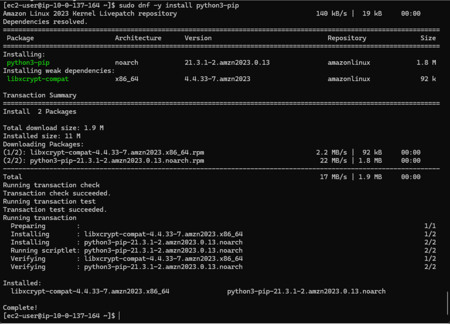 Python environment setup